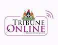   Advertising with Tribune Online Абеокута - заказать и купить размещение по доступным ценам на Cheapmedia