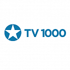   Реклама на телеканале "TV1000" Волгограде - заказать и купить размещение по доступным ценам на Cheapmedia